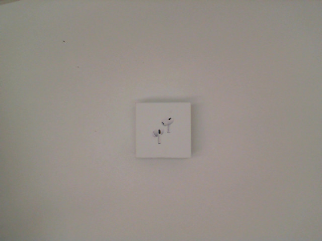 Airpods pro (EMPTY) Airpods pro (EMPTY)