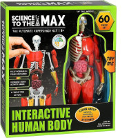 Science to the Max Interactive 14" Human Body. Removable Organs, Muscles, & Illustration Cards Included. Ages 8+