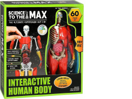 Science to the Max Interactive 14" Human Body. Removable Organs, Muscles, & Illustration Cards Included. Ages 8+