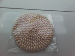 shell stand shell stand