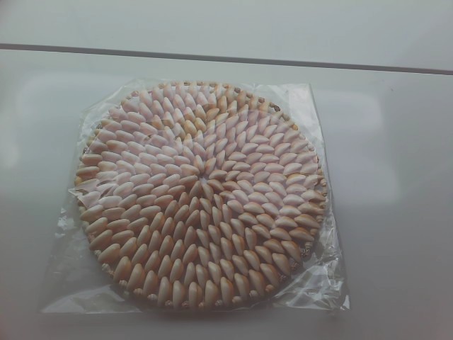 shell stand shell stand