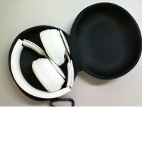 Beige Beats headphones. in case, not new