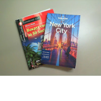 Set of 2 travel guide books