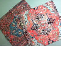 Set of 2 cushion covers