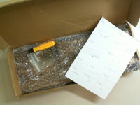 Set Wooden wall hanger