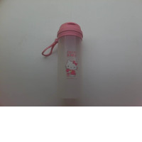 Portable water bottle