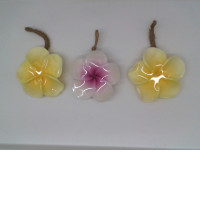 set of Soft foam soap, floral scent (3pcs/set)
