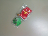 Set 2 Magnet Vietnam