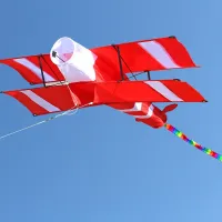 Flying kite in the form of an airplane