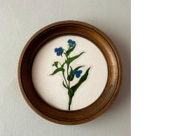 round poster with frame round poster with frame