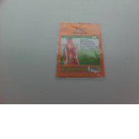 Medicated Plaster-HR