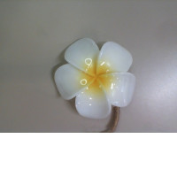 Soap in the shape of a flower, Thailand Leelawadee