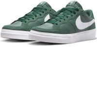 Nike DQ5127-300 Pogo Plus Premium [W SB POGO PLUS PRM] Gorge Green/White shoes 