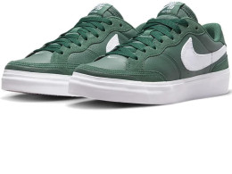 Nike DQ5127-300 Pogo Plus Premium [W SB POGO PLUS PRM] Gorge Green/White shoes 