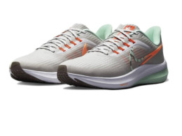 Nike Air Zoom Pegasus 39 DQ4339-001 shoes