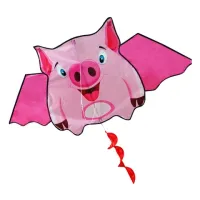 Flying kite, pig