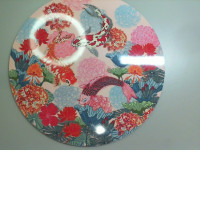 Wooden painting on the wall with fish