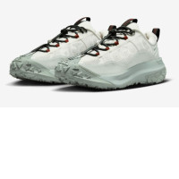 Nike ACG Mountain Fly 2 Low GORE-TEX colour white shoes