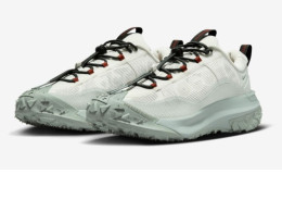 Nike ACG Mountain Fly 2 Low GORE-TEX colour white shoes