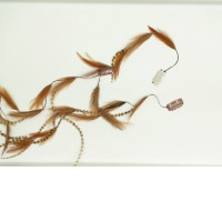 Set of 2 hairpins (dream catcher)