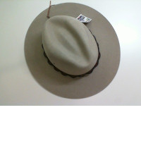 Hat with brim