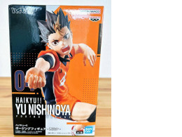 FIGURE  haikyu yu nishinoya