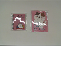 Set of Small notebook (2pcs/set)