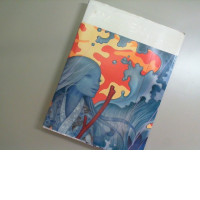 Book by James Jean. Album with photos of the artist's paintings Book by James Jean. Album with photos of the artist's paintings