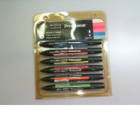 Promarker. 6 VIBRANT TONES