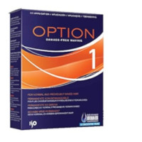 OPTION 1 PERMANENT WAVE