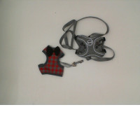 Gray dog ​​leash