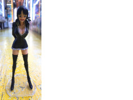 Big SALE! Japanese figure Robin with Plastic Wall