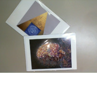 Set of 2 photo cards