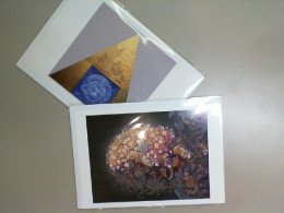 Set of 2 photo cards