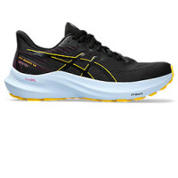 Women's ASICS GT-2000 12 GTX Women's ASICS GT-2000 12 GTX