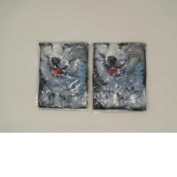 Set of 2 children's T-shirts ROCKEAGLE with Blue wolf print Size 9-12