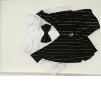 Dog clothes 