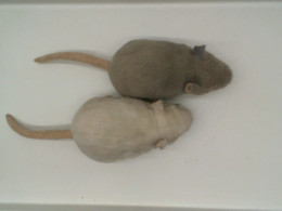 Set of 2 Mouse Doll Set of 2 Mouse Doll