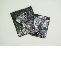 Set of 2 T-shirts ROCKEAGLE/ Collection - animals