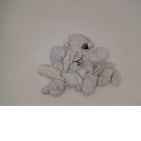 Set of 10 White socks