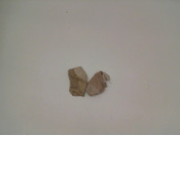 Set of 2 Cream socks