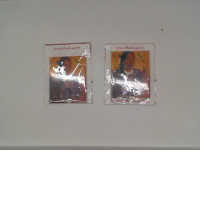 Set of 2 Magnetic image