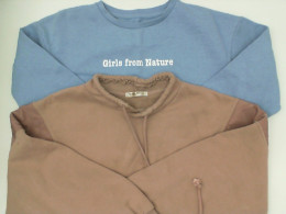 Set of 2 Women's blue and pink round neck sweater