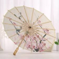 Chinese paper umbrella