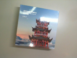 Juyuan tower Highly detailed metal model kit