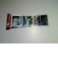 beach souvenir beach souvenir