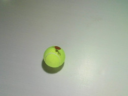 Tennis Balls Tennis Balls