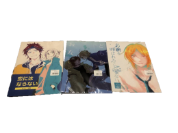 Set of 3 Japanese comics, He + Her = Love Set of 3 Japanese comics, He + Her = Love