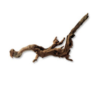 Horn Wood. Decorative tree for aquarium