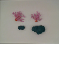 Set of 4 Coral-shaped educational toys 